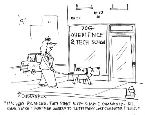 'It's very advanced.  They start with simple commands - sit, come, fetch - and then work up to retrieving lost computer files.'
