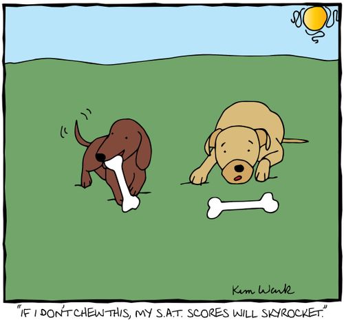 'If I don't chew this, my S.A.T. scores will skyrocket.'