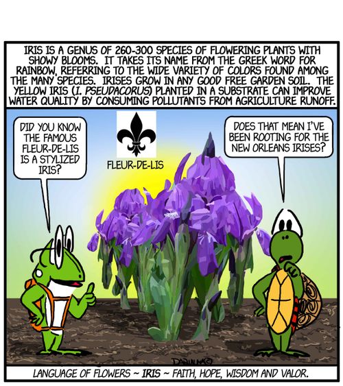 'Did you know the famous Fleur-De-Lis is a stylized Iris?'