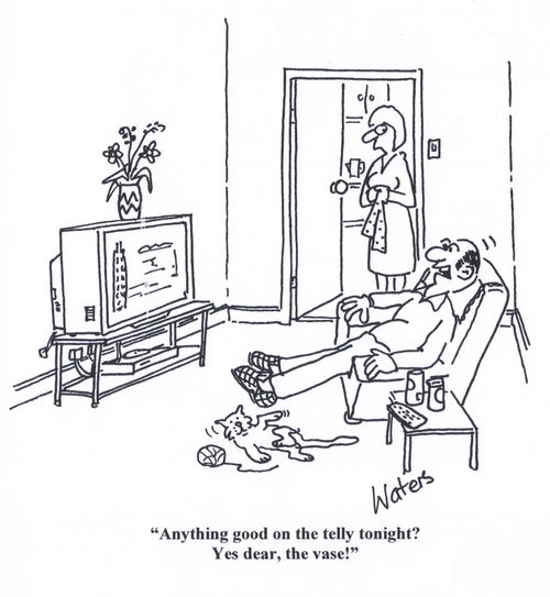 'Anything good on the telly tonight? Yes dear the vase!'