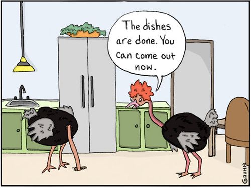 "The dishes are done. You can come out now."