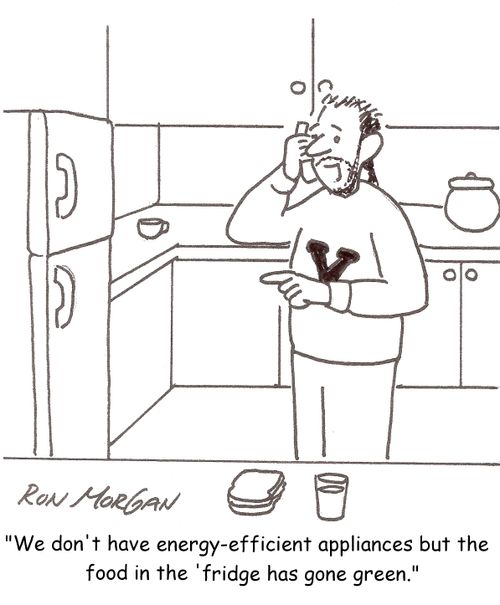 'We don't have energy-efficient appliances but the food in the 'fridge has gone green.'