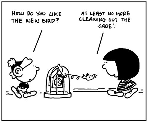 'At least no more cleaning out the cage.'
