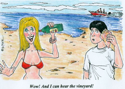 'Wow! And I can hear the vineyard!'