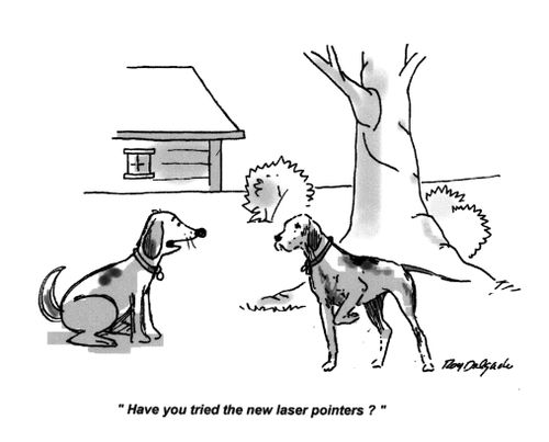 'Have you tried the new laser pointers?'