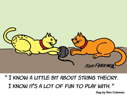 "I know a little bit about string theory. I know it's a lot of fun to play with."