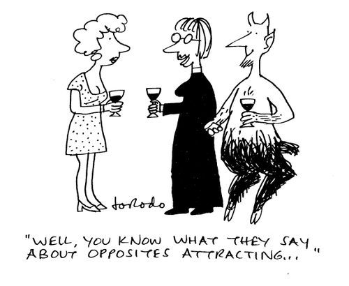 'Well, you know what they say about opposite's attracting...'