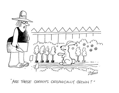 'Are these carrots organically grown?'