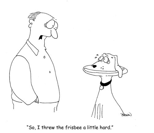 "So, I threw the frisbee a little hard."