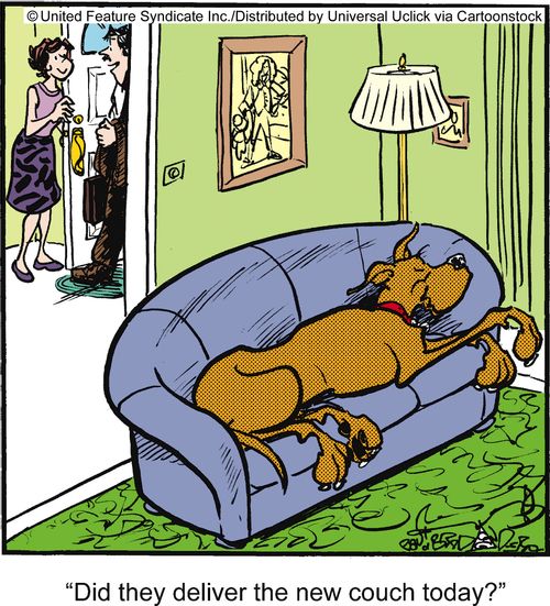 'Did they deliver the new couch today?'