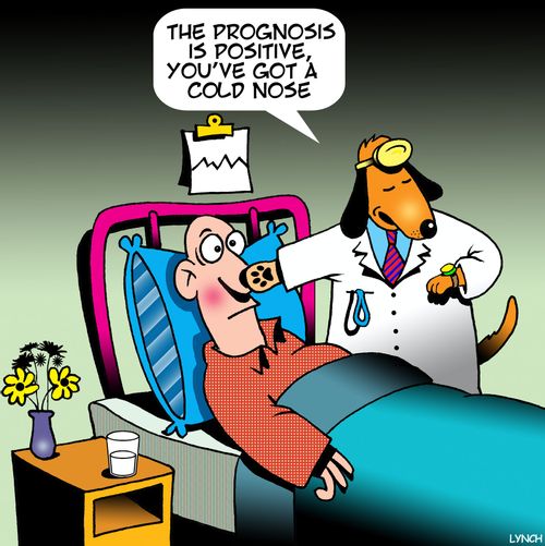 "This prognosis is positive, you've got a cold nose."