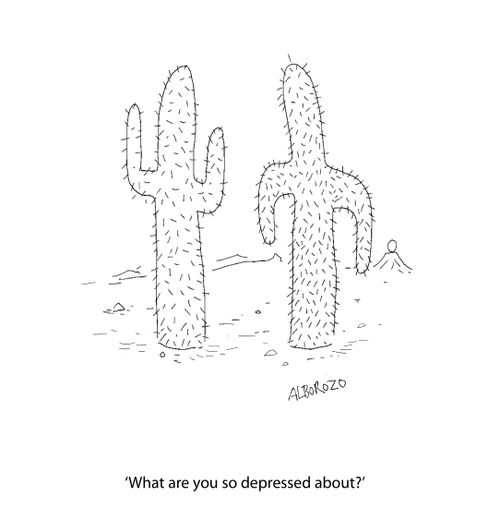 Depressed Cactus