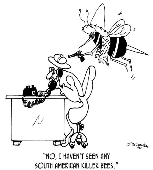 'No, I haven't seen any South American killer bees.'