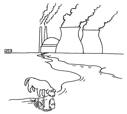 Dog looking at reflection of death in industrial waste.