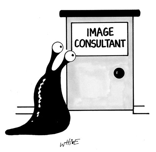 Image Consultant