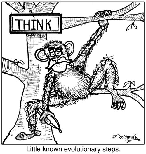 Little known evolutionary steps.