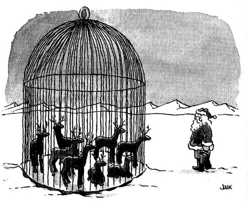 Reindeer Cage