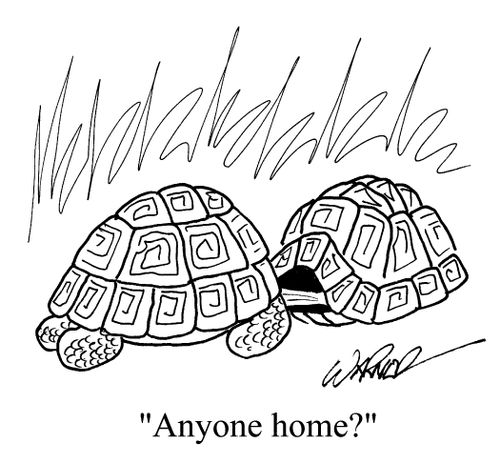 "Anyone home?"