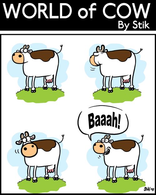 Cow looks about to make sure nobody is watching, then bleats like a sheep.