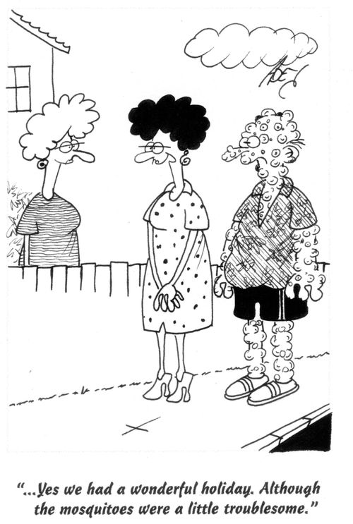 '...Yes we had a wonderful holiday. Although the mosquitoes were a little troublesome.'
