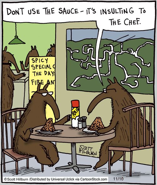 'Don't use the sauce-it's insulting to the chef.'