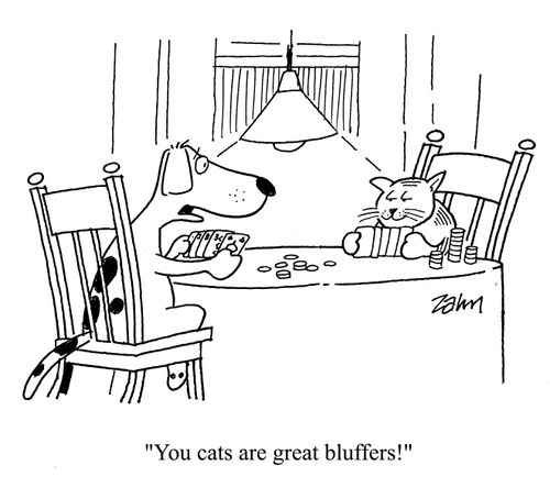 'You cats are great bluffers.'