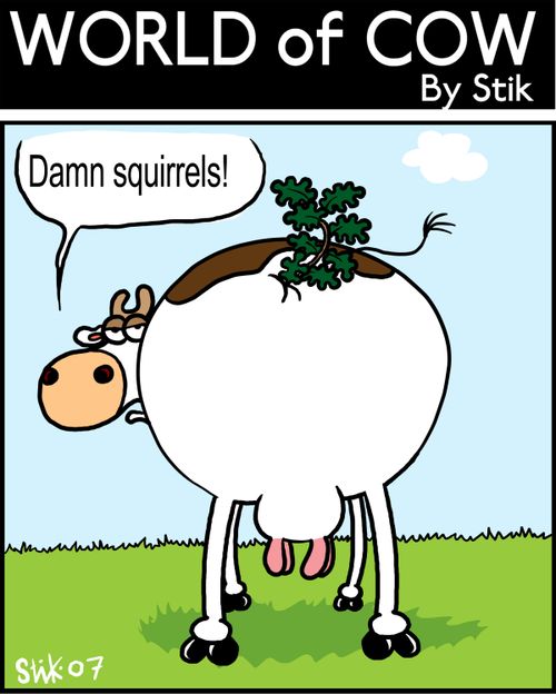 Damn squirrels!