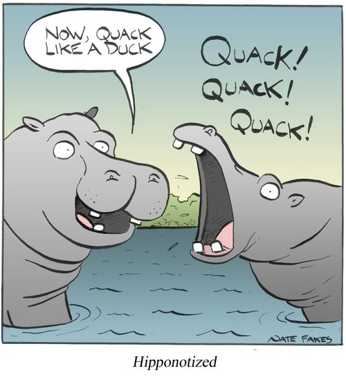 Hipponotized