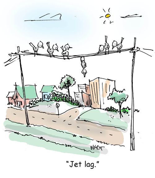 'Jet lag.'