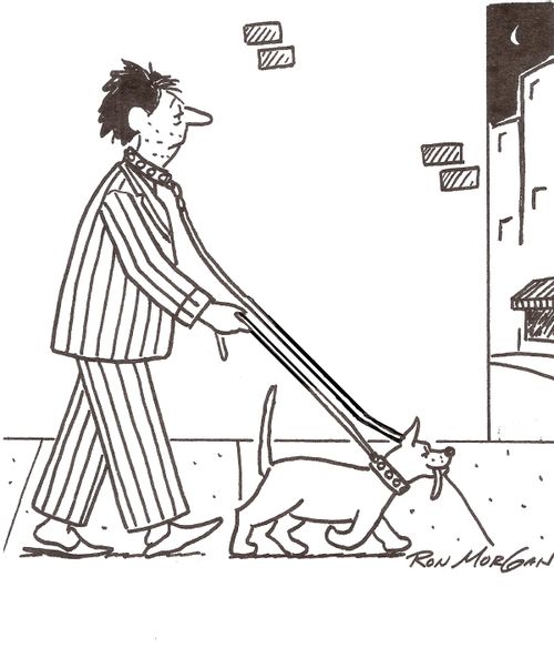 Man and dog both have leashes.