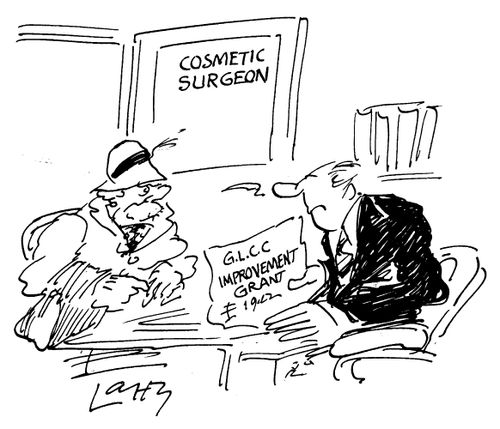 Old woman with a government improvement grant meeting with a cosmetic surgeon