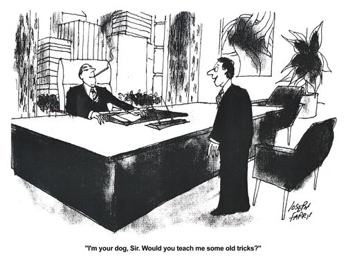 'I'm your dog, Sir. Would you teach me some old tricks?'
