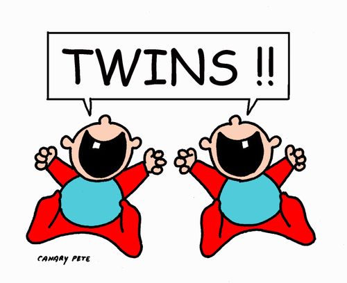 Twins!