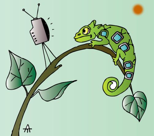Chameleon and TV