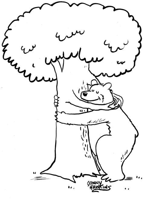 Tree and bear hugging.