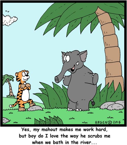 "Yes, my mahout makes me work hard, but boy do I love the way he scrubs me when we bath in the river..."