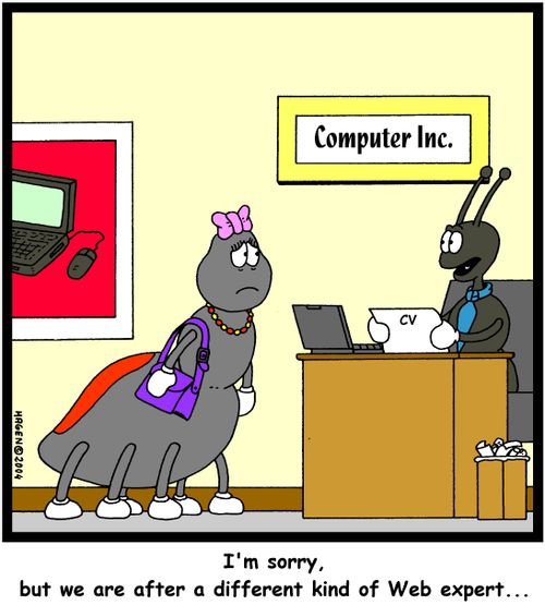 'I'm sorry, but we are after a different kind of Web expert...'