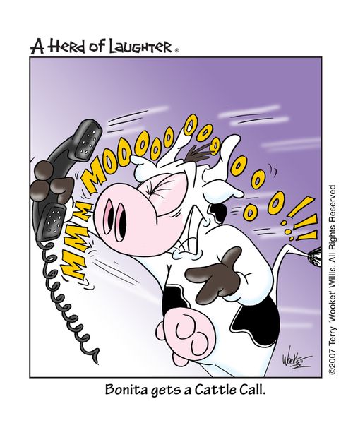 Bonita gets a Cattle Call