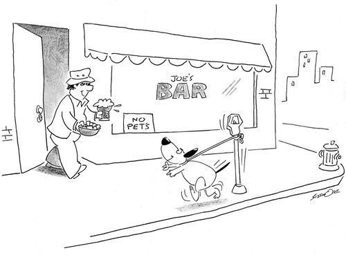 Joe's Bar - No Pets.