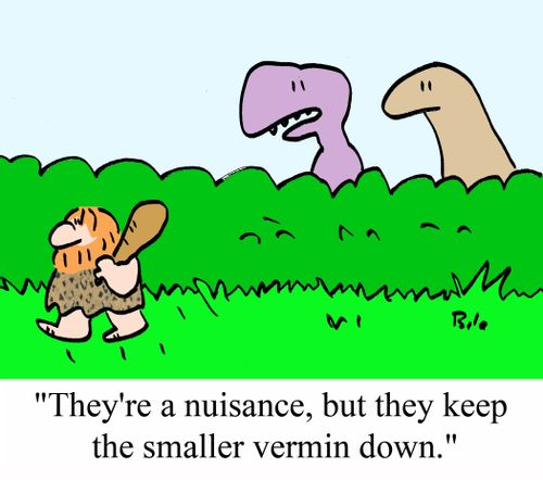 'They're a nuisance, but they keep the smaller vermin down.'