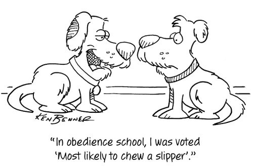"In obedience school, I was voted 'Most likely to chew a slipper'."