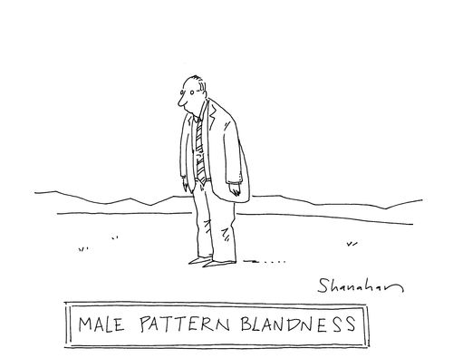 'Male pattern blandness.'