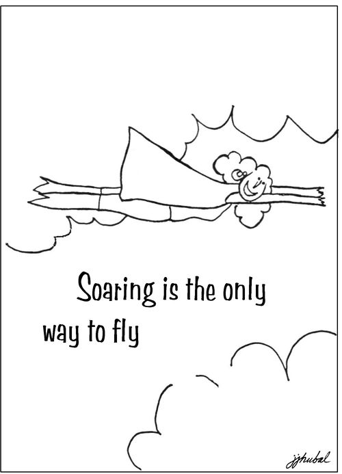 Soaring is the only way to fly