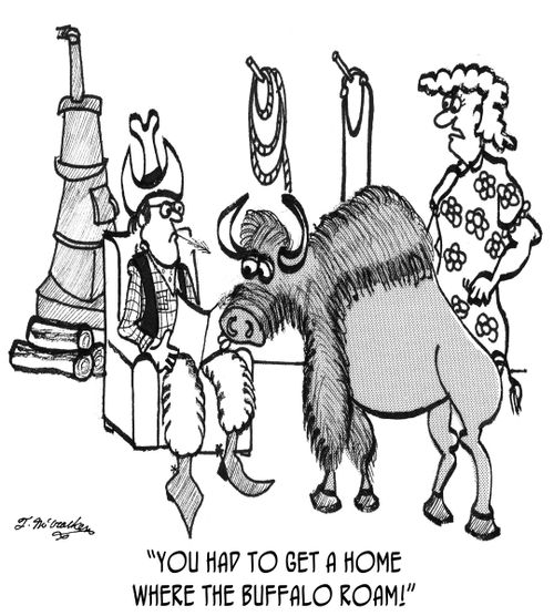 'You had to get a home where the buffalo roam!'
