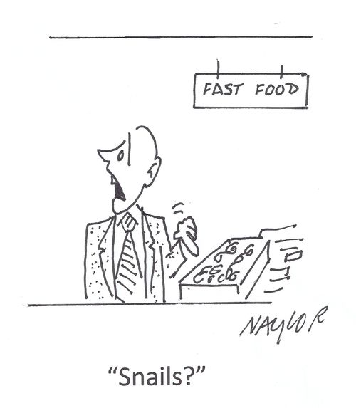'Snails?'