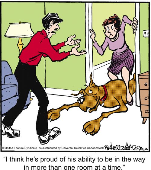 'I think he's proud of his ability to be in the way in more than one room at a time.'