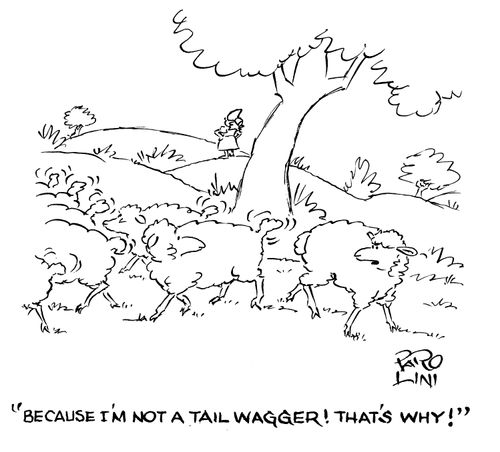 'Because I'm not a tail wagger! That's why!'