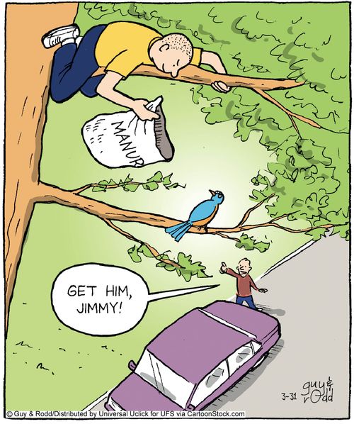 'Get him, Jimmy!'