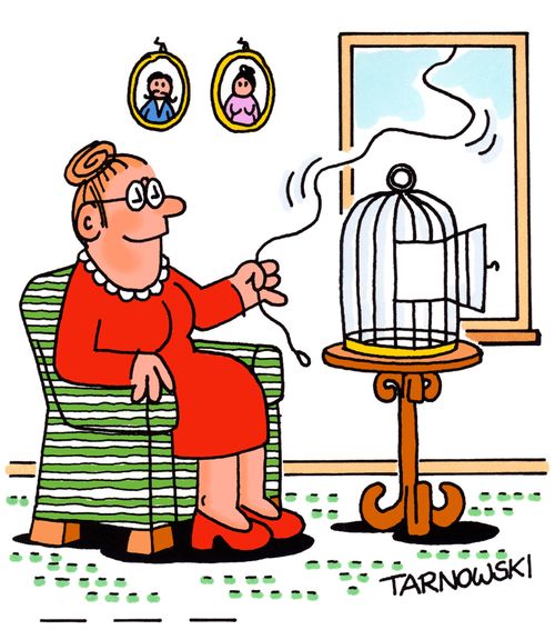 Pet bird on a lead.