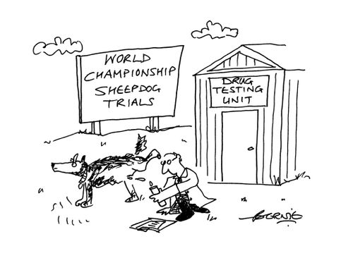 World Championship Sheepdog Trials.